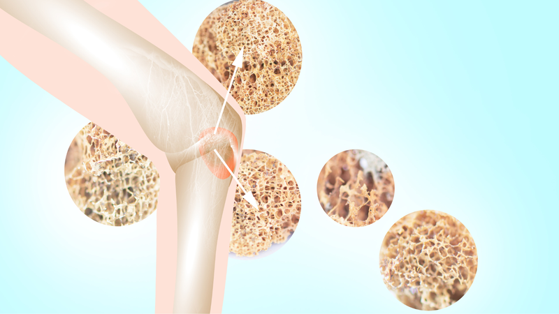 Giải phẫu xương trên khuôn mặt - xương mặt 3