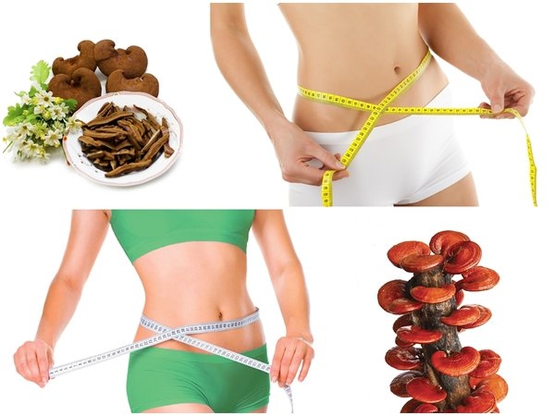 Giảm cân bằng nấm linh hiệu quả ra sao? 1