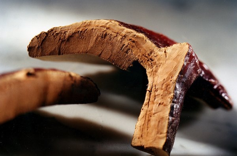 Giảm cân bằng nấm linh hiệu quả ra sao? 2