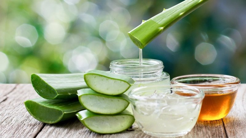 Giảm mụn trong mùa mưa với mặt nạ nha đam và mật ong 1