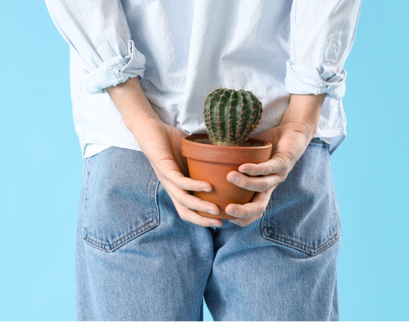 Giãn tĩnh mạch hậu môn là bệnh gì? Suy giãn tĩnh mạch hậu môn và bệnh trĩ có mối liên hệ như thế nào? 2