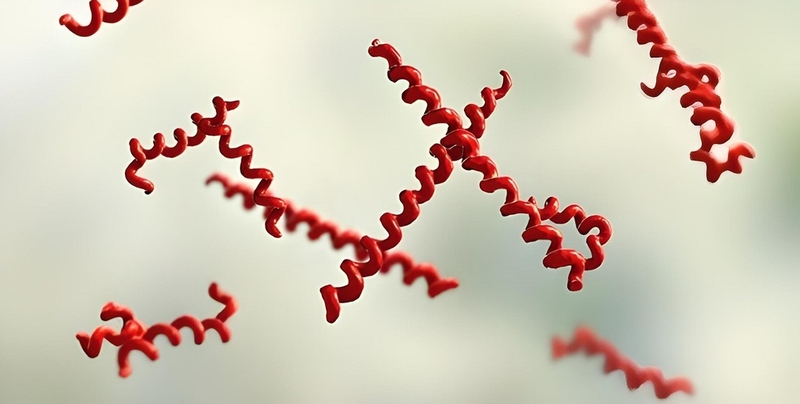 Giang mai thần kinh: Nguyên nhân, triệu chứng, chẩn đoán và phương pháp điều trị 1