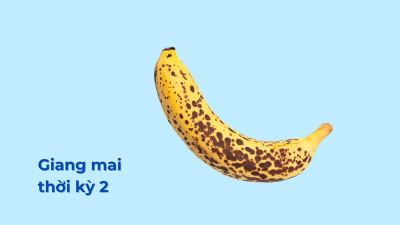 Giang mai thời kỳ 2: Triệu chứng, các phương pháp chẩn đoán và hướng điều trị 1