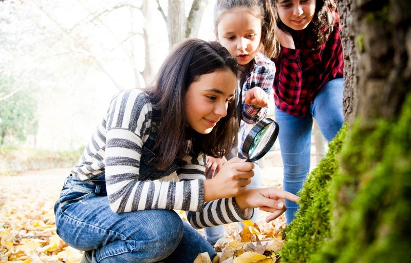 Các hình thức giáo dục phát triển thẩm mỹ cho trẻ mầm non 3