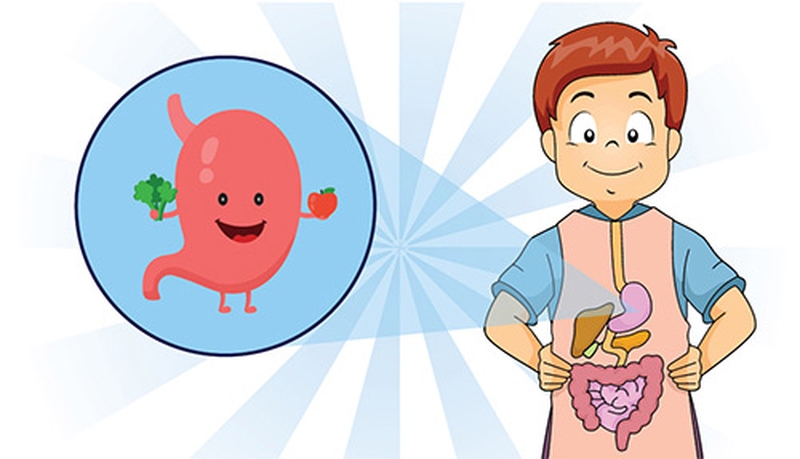 Giúp bé ăn ngon khỏe với men vi sinh dạng thạch đến từ Nhật Bản 2