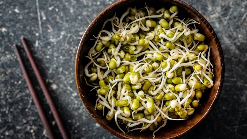 Góc giải đáp: Ăn giá đỗ sống hay chín tốt hơn? 3