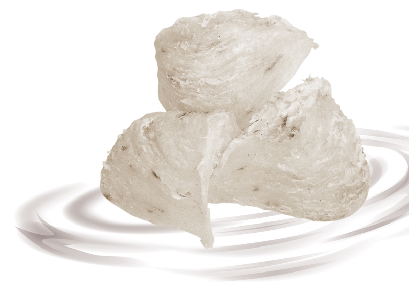 Góc giải đáp: Ăn nhiều yến sào có sao không? 1