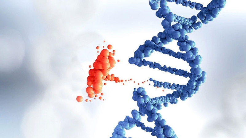 Góc giải đáp: Bé mấy tháng biết vỗ tay, vẫy tay và chỉ tay? 3