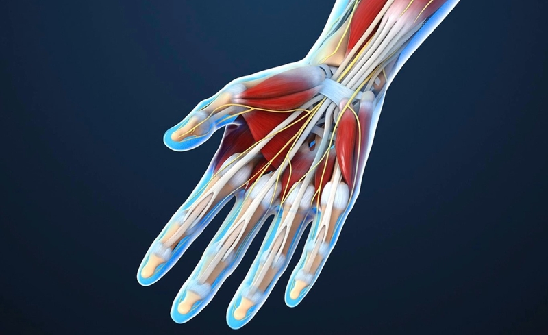 Góc giải đáp: Hội chứng ống cổ tay kiêng ăn gì và nên ăn gì? 1