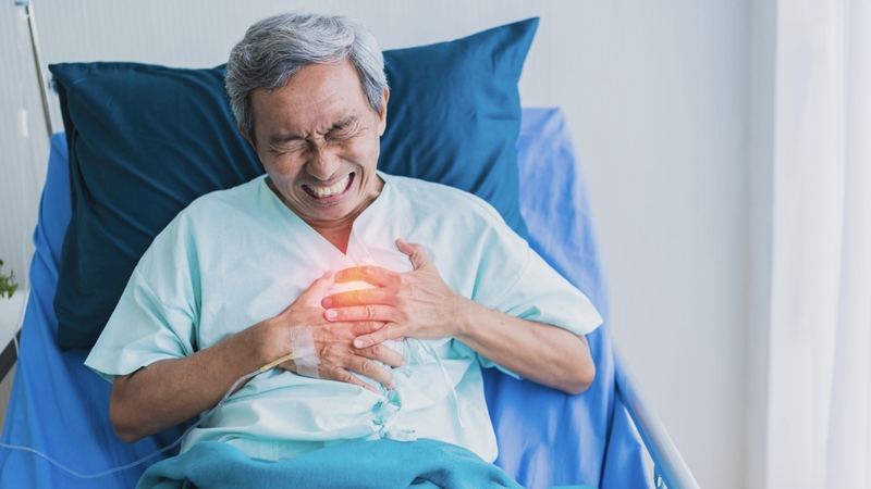 goc-giai-dap-hut-dich-mang-phoi-mat-bao-lau 2