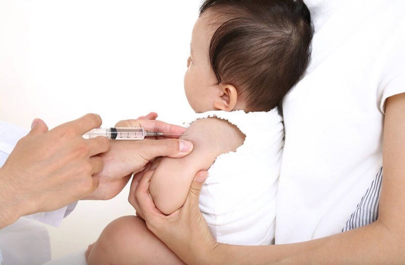Góc giải đáp: Mẹ uống lá tía tô trước khi tiêm phòng vaccine cho bé có hiệu quả không? 1