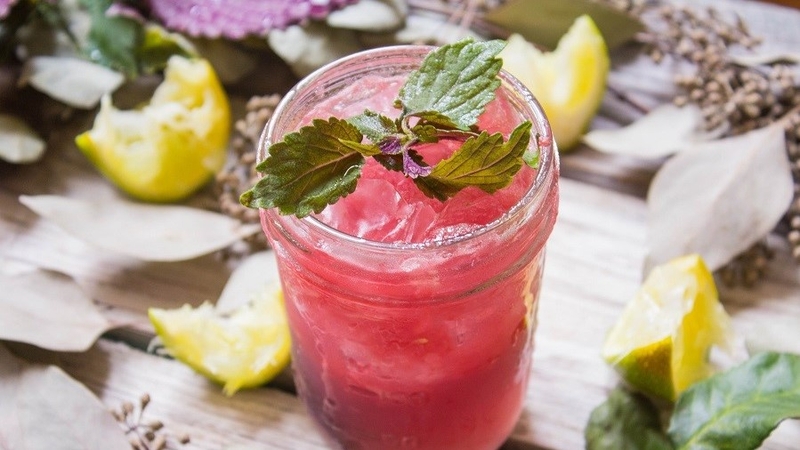 Góc giải đáp: Mẹ uống lá tía tô trước khi tiêm phòng vaccine cho bé có hiệu quả không? 4