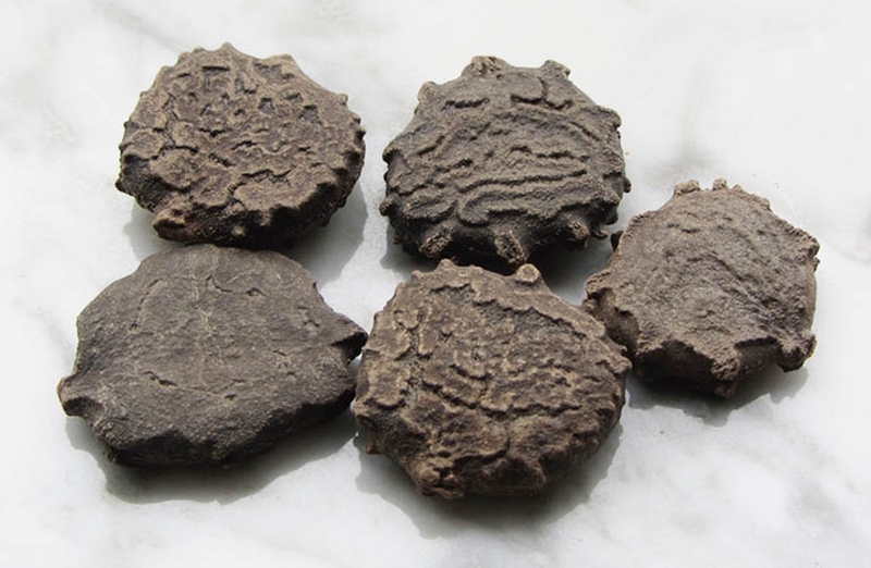 Góc giải đáp: Mẹo chữa bệnh trĩ bằng hạt gấc tại nhà như thế nào? 2