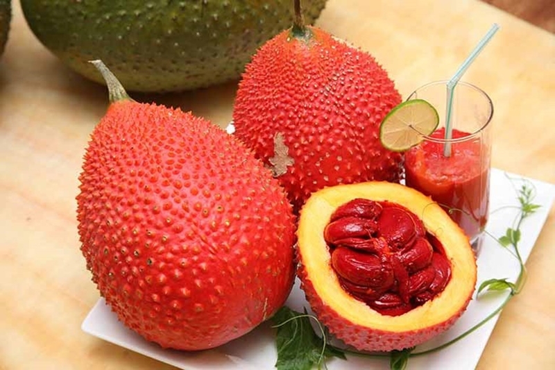 Góc giải đáp: Mẹo chữa bệnh trĩ bằng hạt gấc tại nhà như thế nào? 3