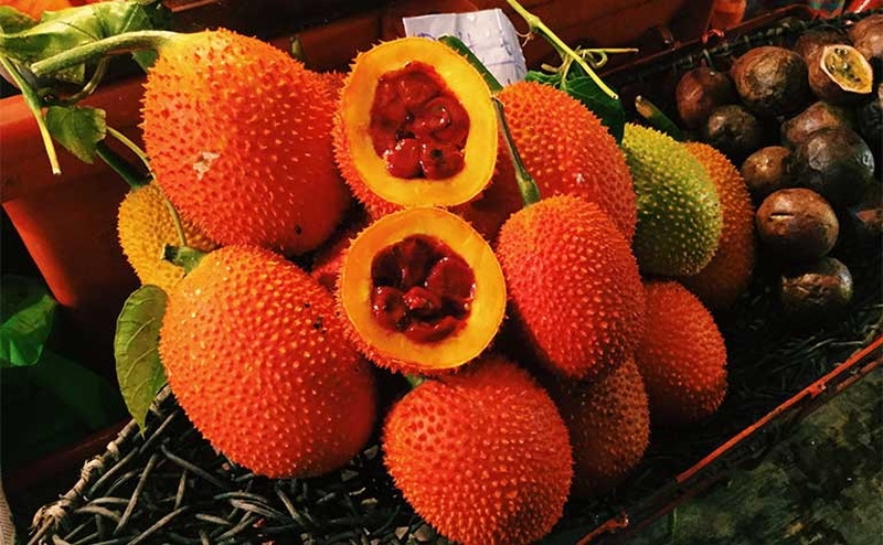 Góc giải đáp: Mẹo chữa bệnh trĩ bằng hạt gấc tại nhà như thế nào? 4