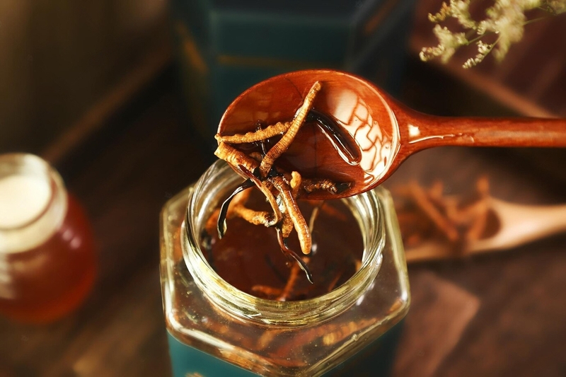 Góc giải đáp: Người huyết áp thấp có uống được đông trùng hạ thảo không? 3