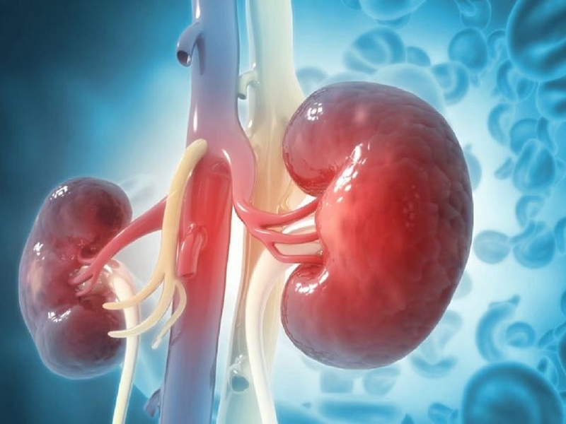 Phụ nữ có thai có uống được kim tiền thảo không? 2