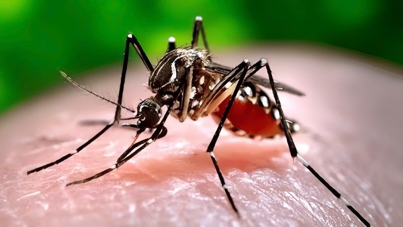 goc-giai-dap-sot-xuat-huyet-co-duoc-nam-may-lanh-khong 1