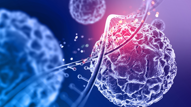 goc-giai-dap-thac-mac-nem-nuong-bao-nhieu-calo 2