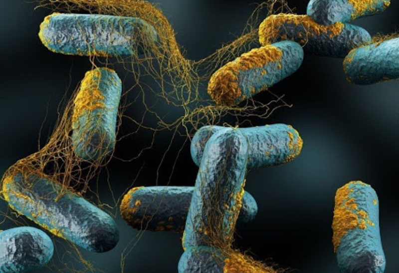 Góc giải đáp: Tiêm filler và botox cái nào tốt hơn? 3