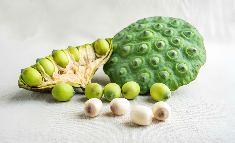 goc-giai-dap-tra-sen-vang-co-tot-khong 4