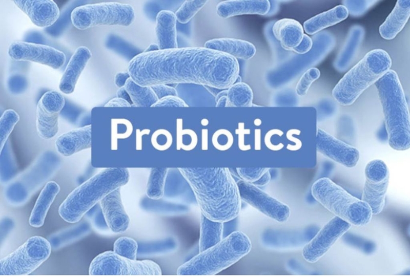 Góc hỏi đáp: Men vi sinh Golden Lab bán ở đâu? 1