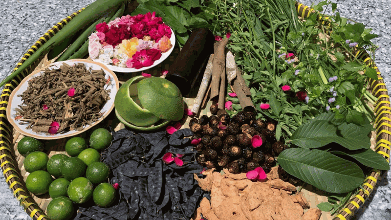 Gội đầu bằng bồ kết mang lại tác dụng gì? 1