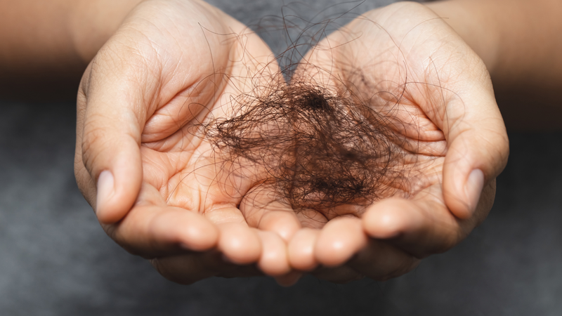 Gội đầu rụng bao nhiêu tóc là bình thường?