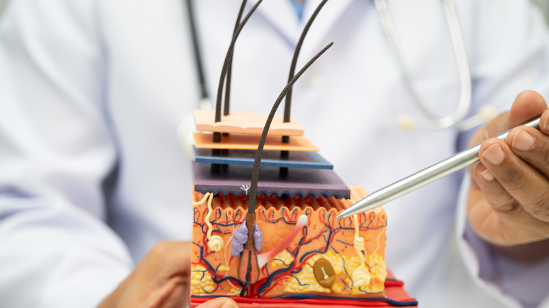 Phần lớn lượng tóc già yếu trên đầu sẽ rụng đi