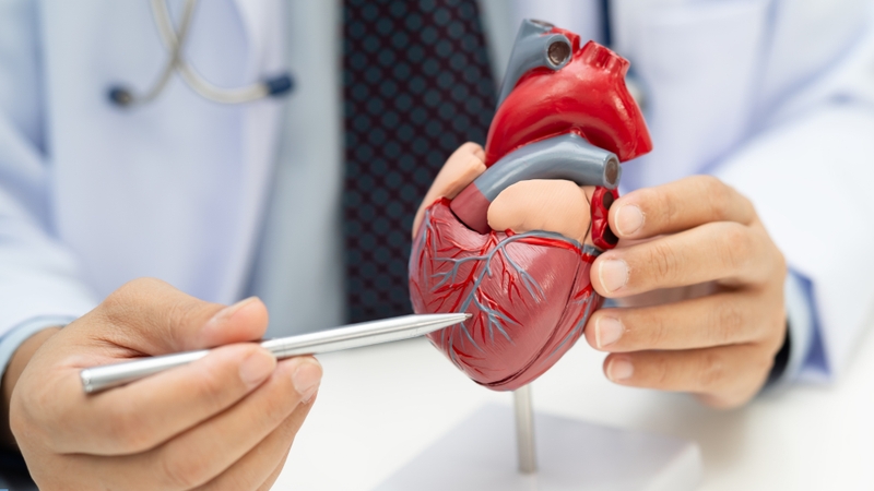 Gói xét nghiệm tim mạch là tập hợp các xét nghiệm cận lâm sàng để đánh giá sức khỏe tim mạch và các yếu tố nguy cơ