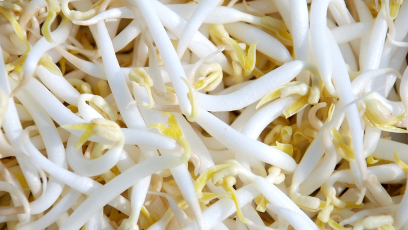 Gợi ý 10 loại thực phẩm hạ mỡ máu không cần dùng thuốc 4