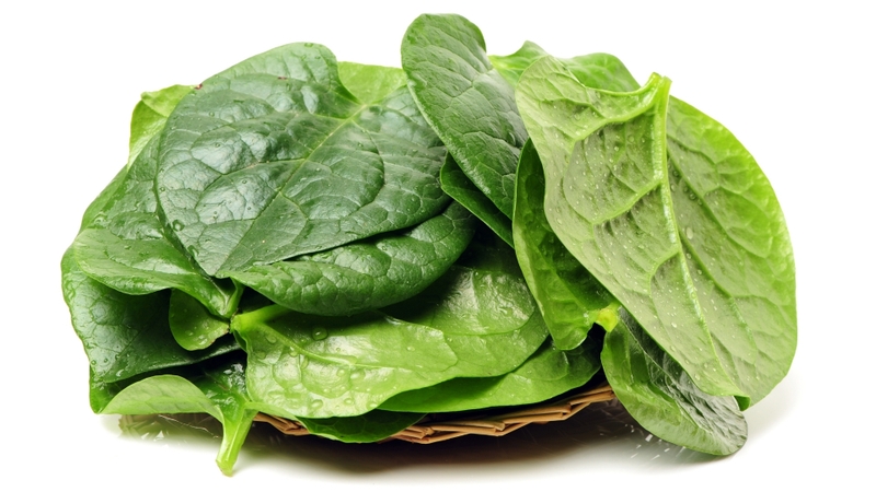 Rau mồng tơi chứa nhiều chất xơ hòa tan, vitamin C và các khoáng chất thiết yếu