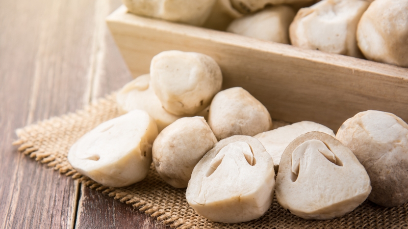 Gợi ý các loại nấm ăn được giàu dinh dưỡng và tốt cho sức khỏe mà bạn có thể tham khảo 1