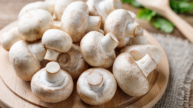 Gợi ý các loại nấm ăn được giàu dinh dưỡng và tốt cho sức khỏe mà bạn có thể tham khảo 2