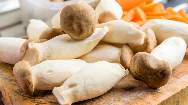 Gợi ý các loại nấm ăn được giàu dinh dưỡng và tốt cho sức khỏe mà bạn có thể tham khảo 5