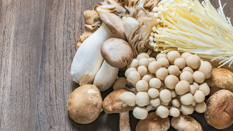 Gợi ý các loại nấm ăn được giàu dinh dưỡng và tốt cho sức khỏe mà bạn có thể tham khảo 8