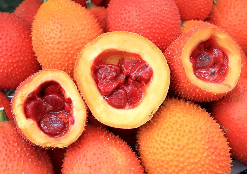 Gợi ý cho mẹ 2 cách nấu cháo gấc cho bé ăn dặm thơm ngon 1