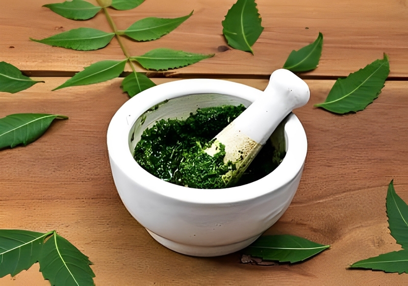 Gợi ý một số bài thuốc sử dụng cây nhọ nồi chữa rong kinh hiệu quả 3