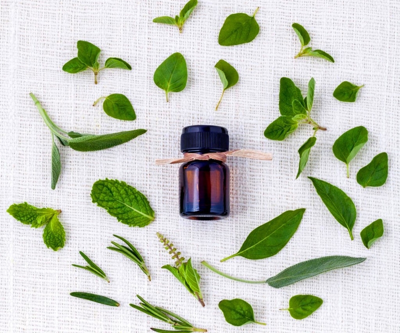 ​ Gợi ý những cách trị chấy cho người lớn hiệu quả cao 2