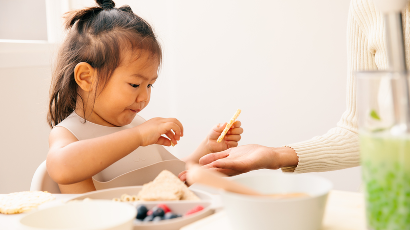 Gợi ý thực đơn cho bé 2 tuổi kiểu Nhật: Đầy đủ dinh dưỡng mỗi ngày 4