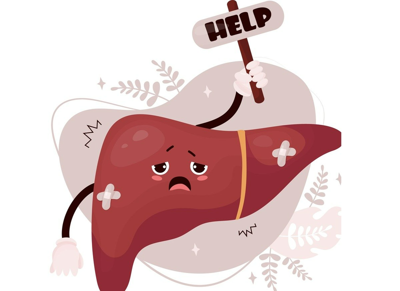 Gợi ý thực đơn cho người men gan cao1