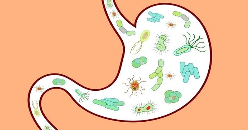 [GỢI Ý] Thuốc tăng cân đông y: Cải thiện cân nặng an toàn và hiệu quả 1