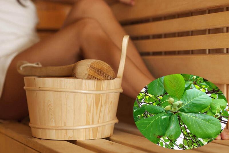 Hướng dẫn các cách chữa bệnh trĩ bằng lá bàng 2