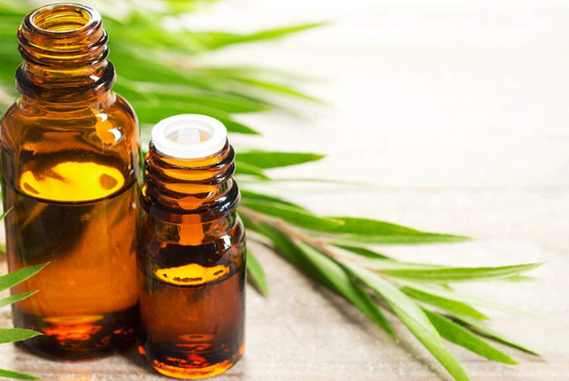 Hạ sốt cho trẻ bằng dầu tràm có tốt không? 4