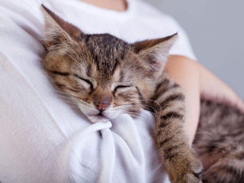 Giải đáp thắc mắc bệnh hắc lào có lây không 2