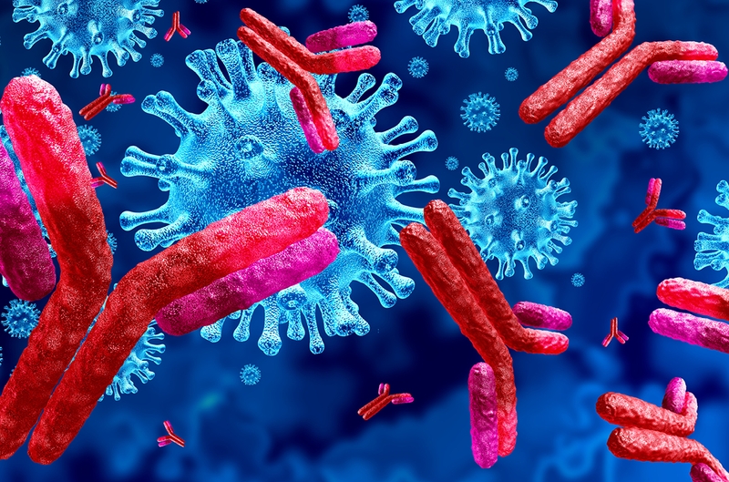 Hạch bạch huyết là gì? Chức năng của hạch bạch huyết trong hệ miễn dịch 4