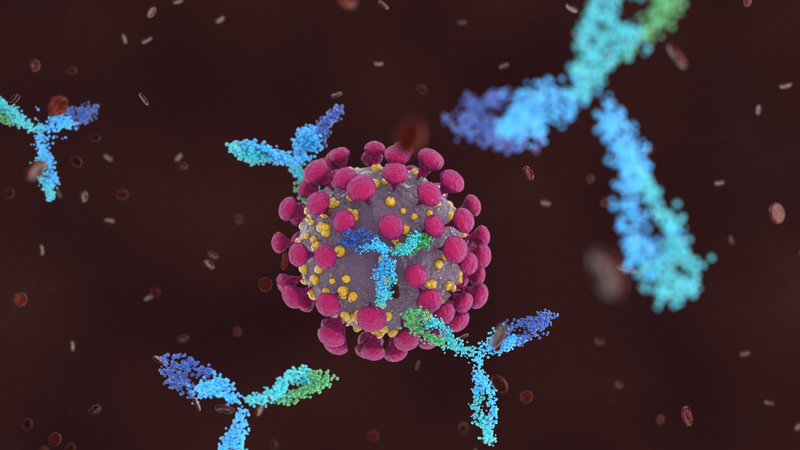 hach-co-uc-don-chum-co-nguy-hiem-khong-nguyen-nhan-xuat-hien-hach-co-uc-don-chum 3