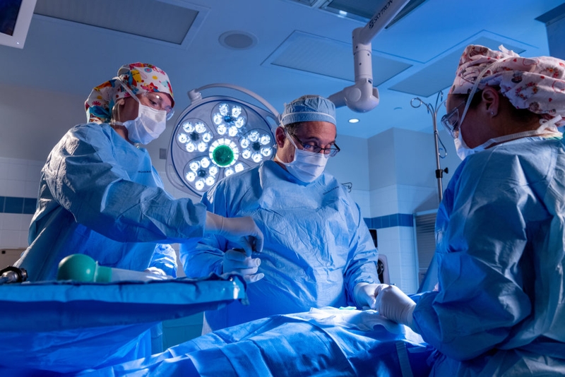 Hamartoma là gì? Các loại hamartoma phổ biến 6