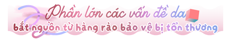 Hàng rào bảo vệ da - Hiểu đúng và chăm sóc đúng cách h2 2