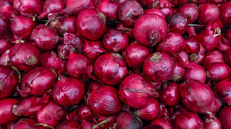 Thường xuyên bổ sung hành tây đỏ vào bữa ăn hằng ngày rất tốt cho sức khỏe